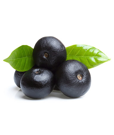 Acai Fruit