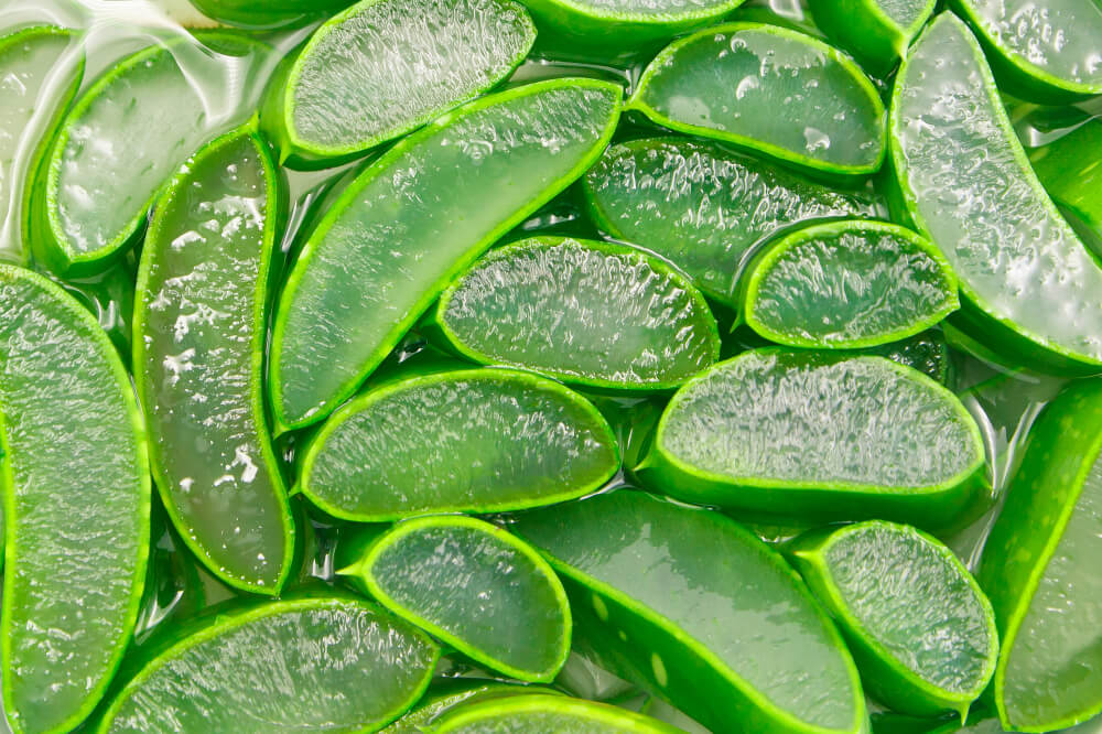 Aloe vera slices