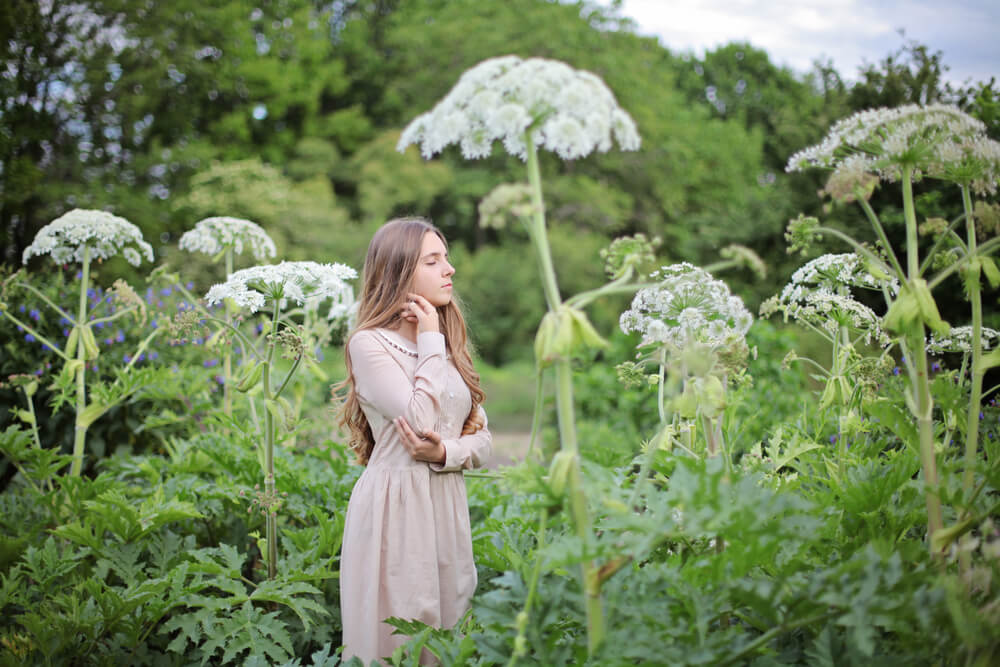 Woman standing next to giant hogweed plants