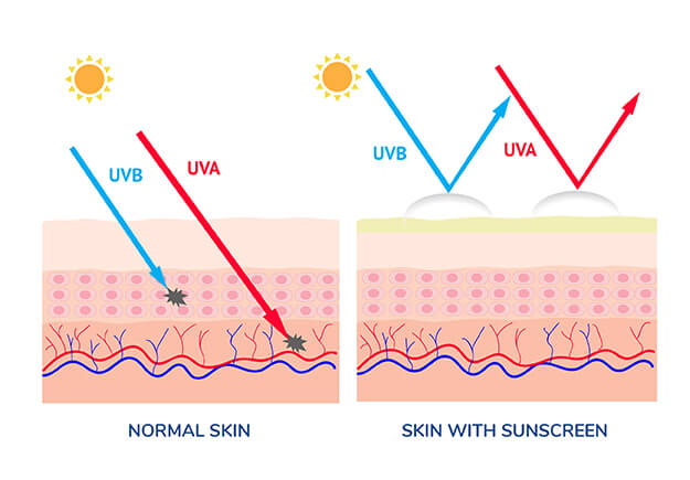 Celestolite Why You Should Be Wearing Sunscreen Every Single Day UV rays