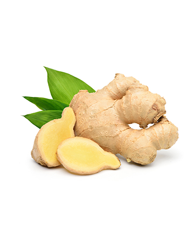 Ginger Root